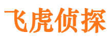 花山市私人侦探